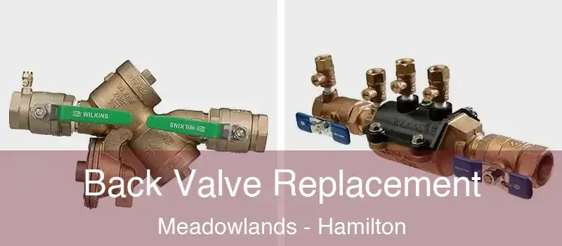  Back Valve Replacement Meadowlands - Hamilton