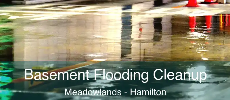  Basement Flooding Cleanup Meadowlands - Hamilton