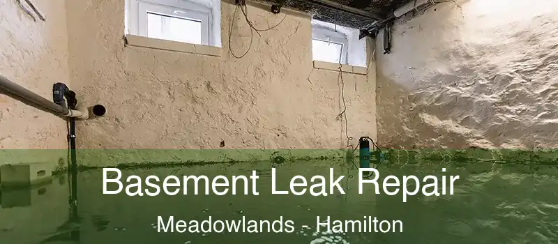  Basement Leak Repair Meadowlands - Hamilton