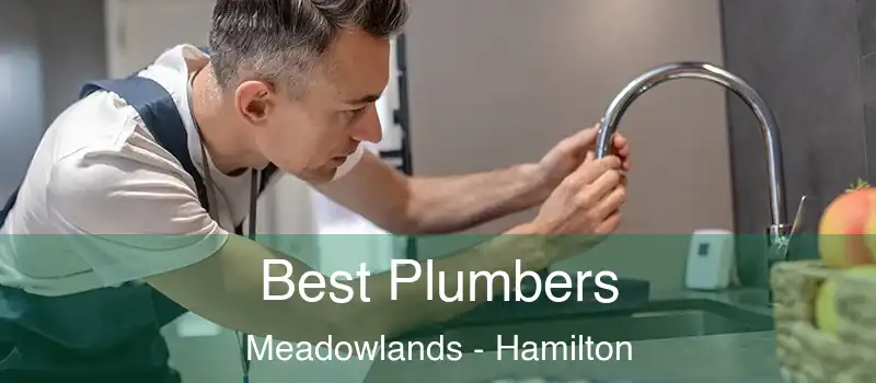  Best Plumbers Meadowlands - Hamilton