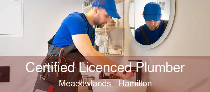  Certified Licenced Plumber Meadowlands - Hamilton