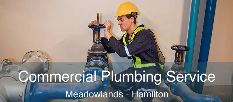  Commercial Plumbing Service Meadowlands - Hamilton
