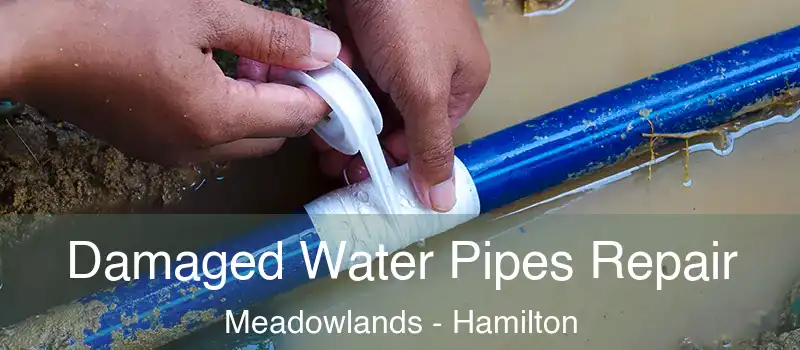  Damaged Water Pipes Repair Meadowlands - Hamilton