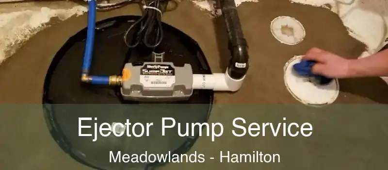  Ejector Pump Service Meadowlands - Hamilton