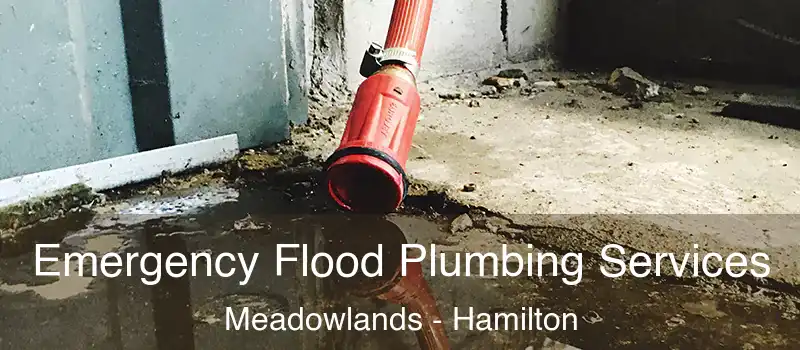  Emergency Flood Plumbing Services Meadowlands - Hamilton