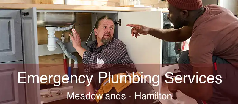  Emergency Plumbing Services Meadowlands - Hamilton