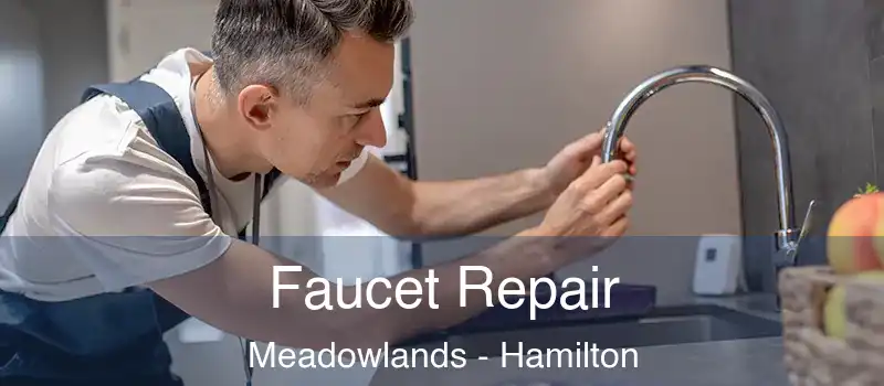 Faucet Repair Meadowlands - Hamilton