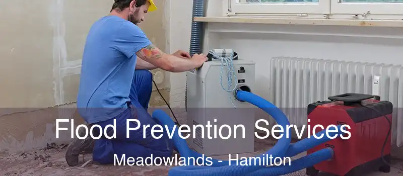  Flood Prevention Services Meadowlands - Hamilton