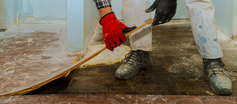 Cost Of Flooded Basement Cleanup in Meadowlands, Hamilton