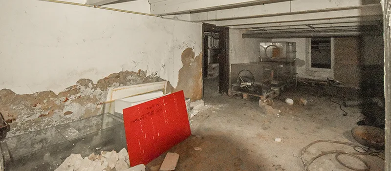 Home Basement Renovation in Meadowlands, Hamilton