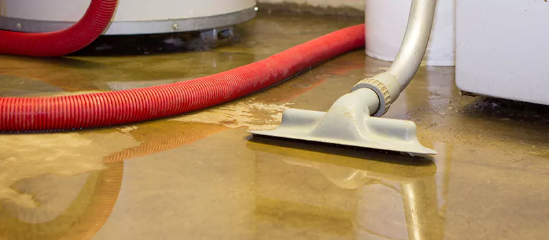 Professional Sewer Backup Cleanup Services in Meadowlands, Hamilton