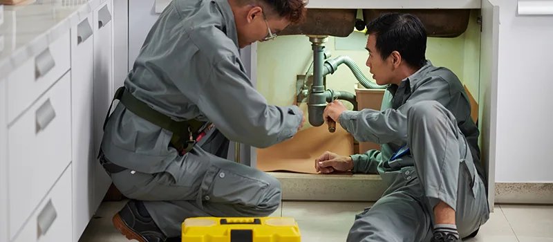 Commercial Bonded and Insured Plumber Services in Meadowlands, Hamilton