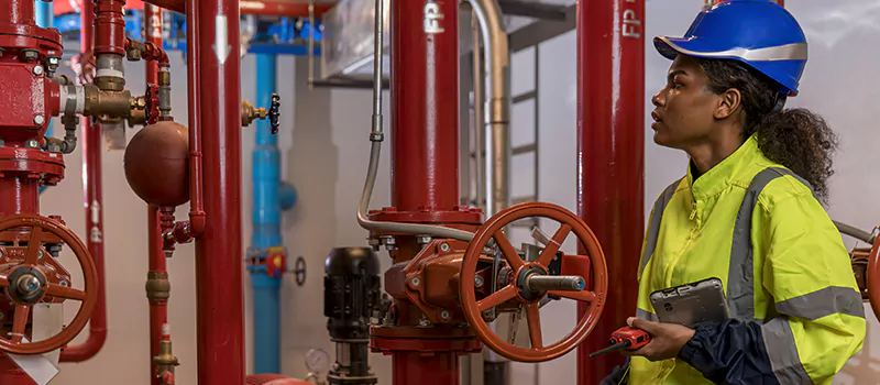 Expert Commercial Plumbers in Meadowlands, Hamilton