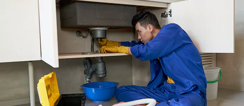Plumbing Government Subsidy Program in Meadowlands, Hamilton