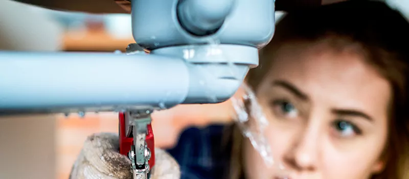 Professional Plumber For Plumbing Installation Services in Meadowlands, Hamilton