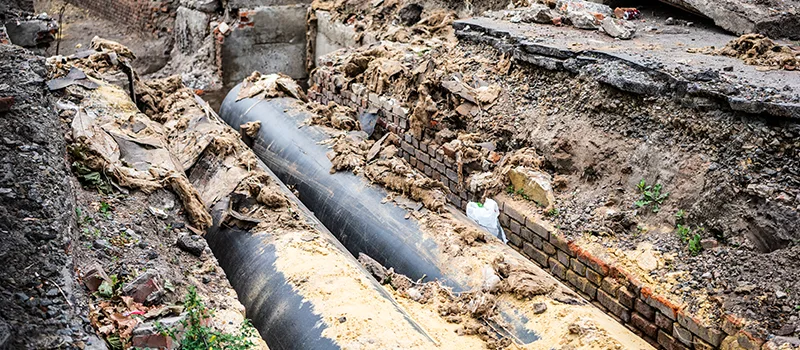 Commercial Sewer Tree Roots Damage Solutions in Meadowlands, Hamilton