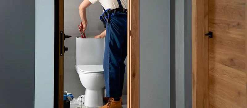 Plumber for Toilet Installation in Meadowlands, Hamilton