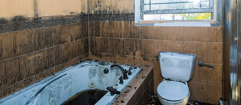 Residential Water Damage Restoration in Meadowlands, Hamilton