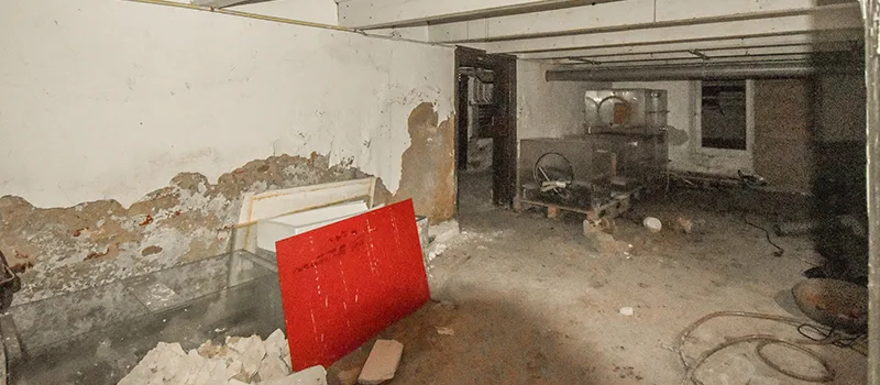 Basement Water Flooding Restoration in Meadowlands, Hamilton