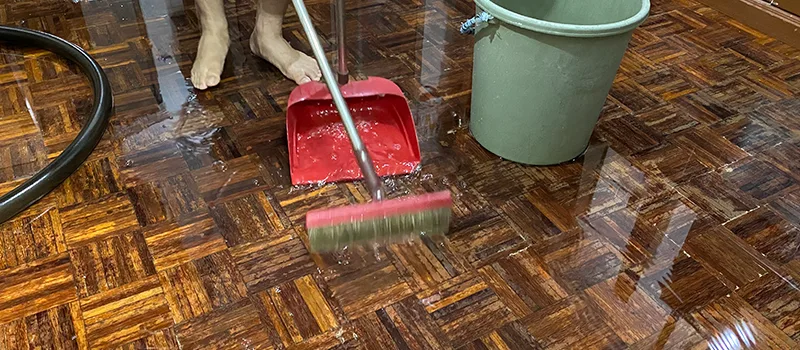Water Removal And Restoration Services in Meadowlands, Hamilton