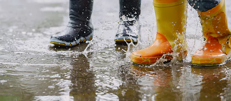 Emergency Flood Recovery Plumbing Services in Meadowlands, Hamilton