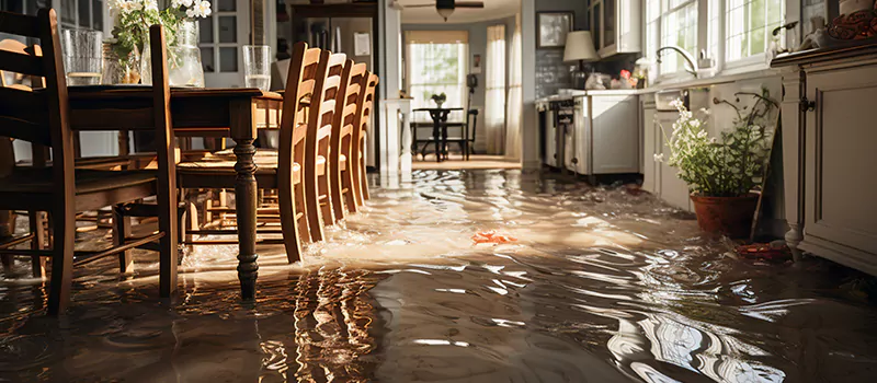 Flooded House Help Near Me in Meadowlands, Hamilton