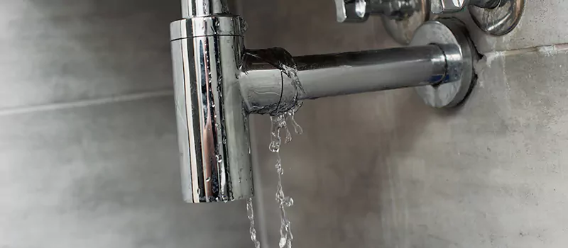 Plumbing Leak Detection Repair in Meadowlands, Hamilton