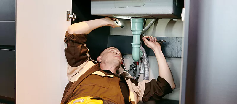 Septic System Plumber Near Me in Meadowlands, Hamilton
