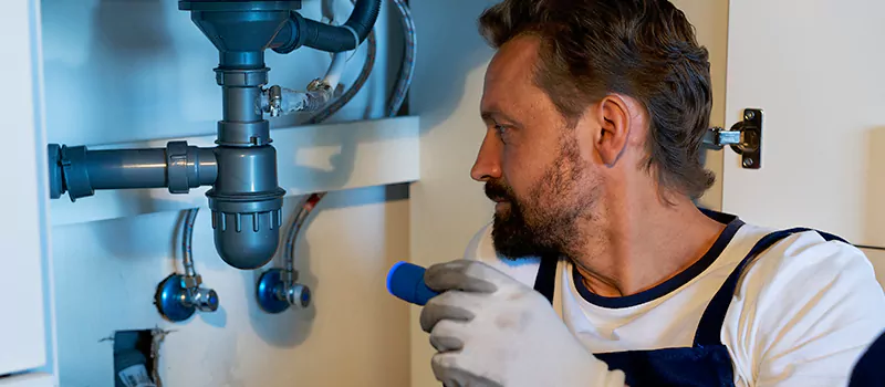 Government Grants & Rebates for Sewer Plumbing in Meadowlands, Hamilton
