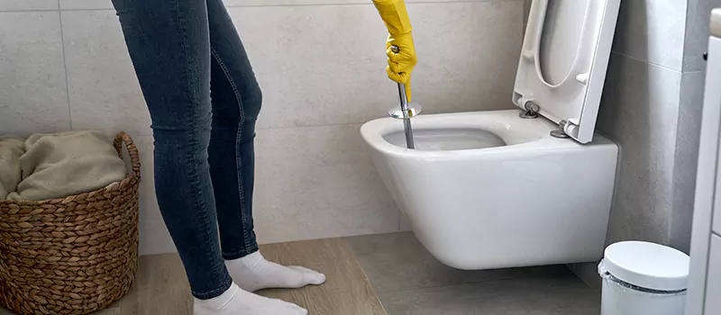 Toilet Flush Valve Installation Services in Meadowlands, Hamilton