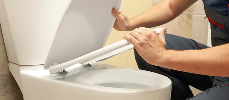 Damaged Toilet Parts Replacement Services in Meadowlands, Hamilton