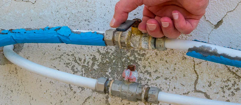 Ceiling Water Damage Repair in Meadowlands, Hamilton