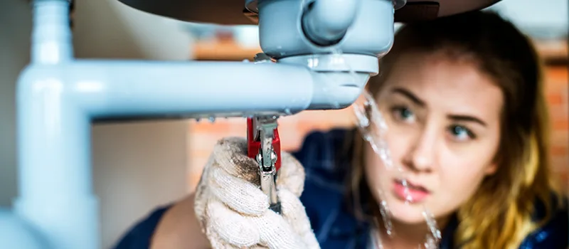 Affordable Water Leak Repair Services in Meadowlands, Hamilton