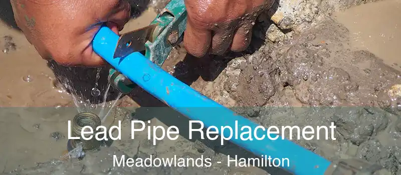  Lead Pipe Replacement Meadowlands - Hamilton