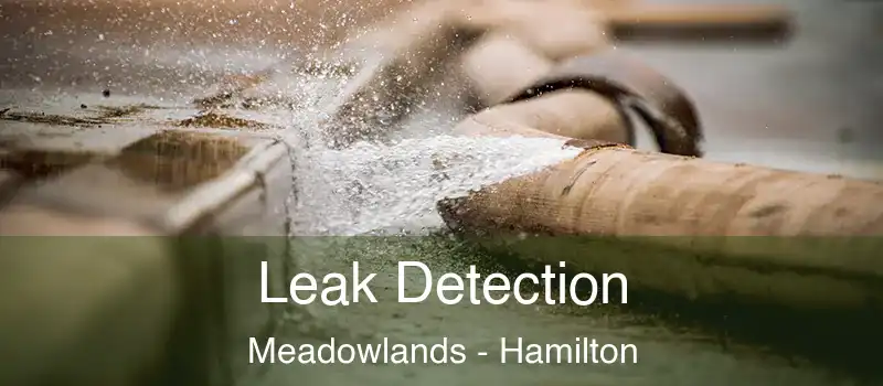  Leak Detection Meadowlands - Hamilton