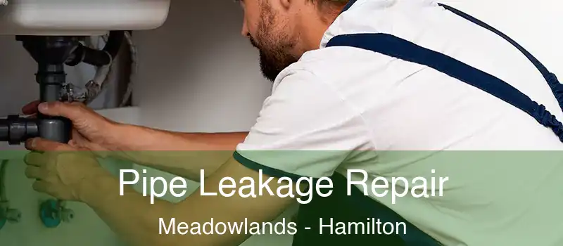  Pipe Leakage Repair Meadowlands - Hamilton