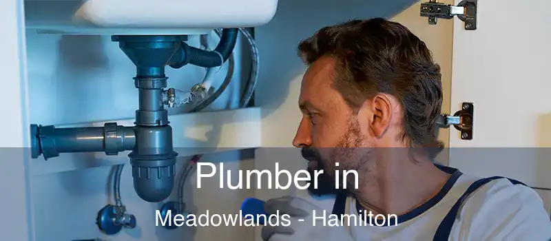  Plumber in Meadowlands - Hamilton