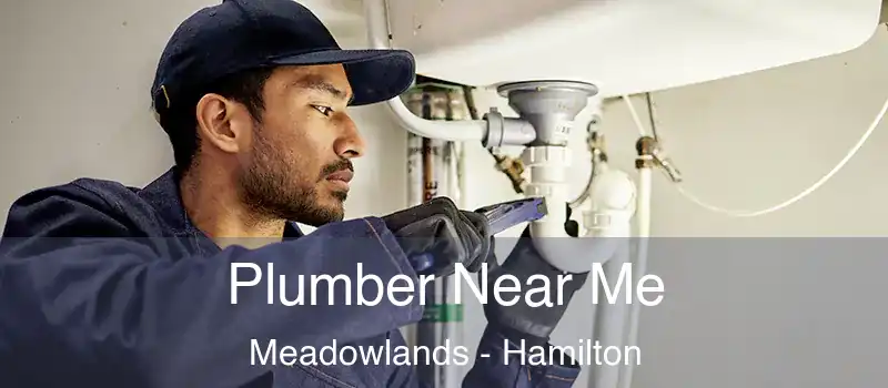 Plumber Near Me Meadowlands - Hamilton