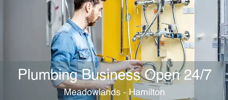  Plumbing Business Open 24/7 Meadowlands - Hamilton