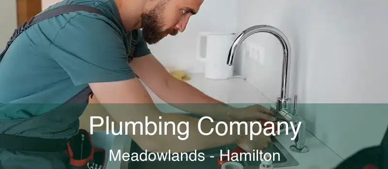  Plumbing Company Meadowlands - Hamilton