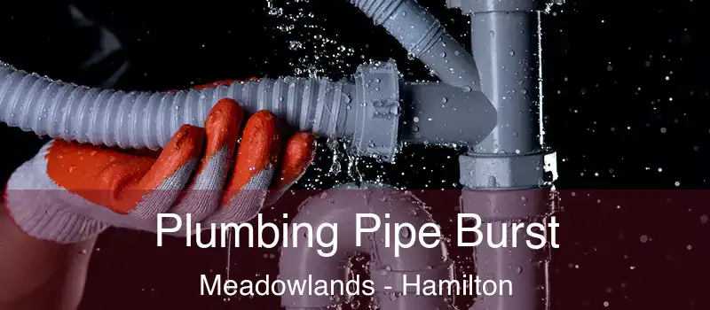  Plumbing Pipe Burst Meadowlands - Hamilton