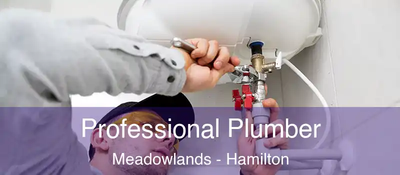  Professional Plumber Meadowlands - Hamilton