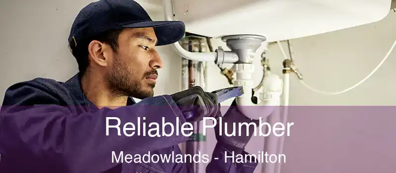  Reliable Plumber Meadowlands - Hamilton