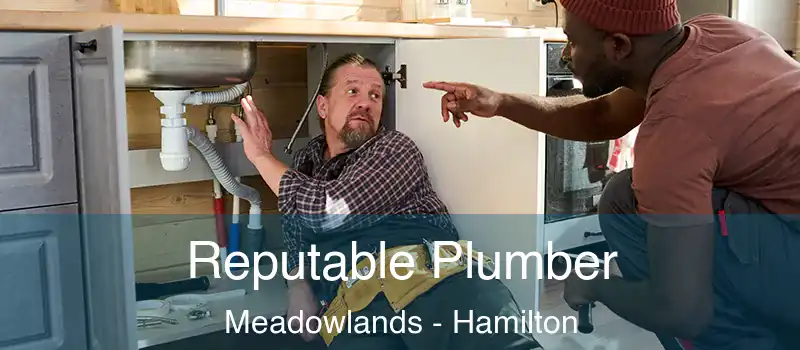  Reputable Plumber Meadowlands - Hamilton