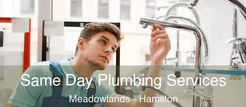  Same Day Plumbing Services Meadowlands - Hamilton