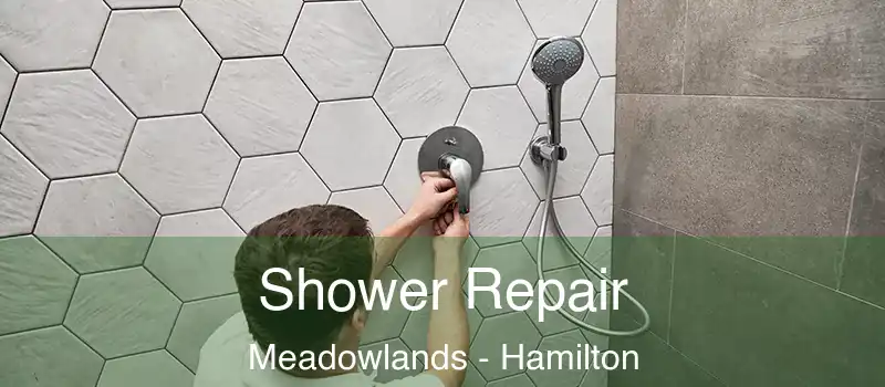  Shower Repair Meadowlands - Hamilton