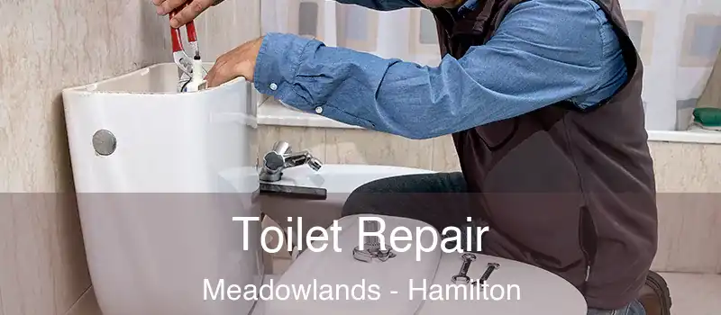  Toilet Repair Meadowlands - Hamilton