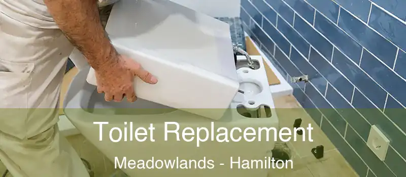  Toilet Replacement Meadowlands - Hamilton