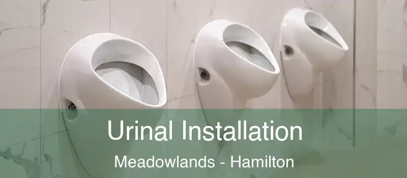  Urinal Installation Meadowlands - Hamilton