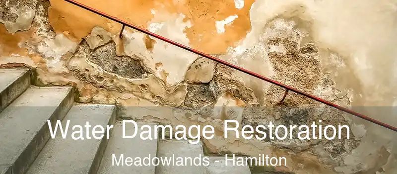  Water Damage Restoration Meadowlands - Hamilton